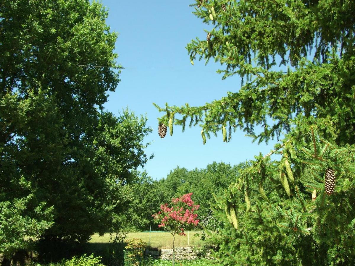 Les Feuillantines Perigord Noir Bed & Breakfast Saint-Cyprien  Exterior photo